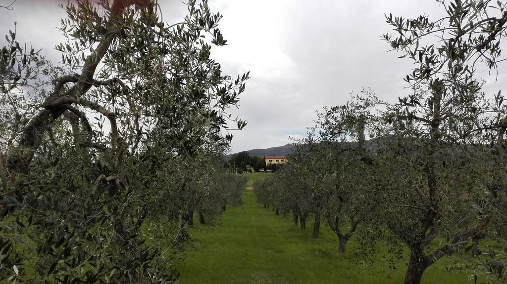 Agriturismo Luggiano Vinci Esterno foto