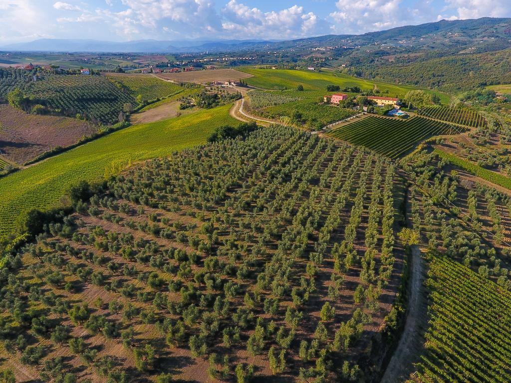 Agriturismo Luggiano Vinci Esterno foto