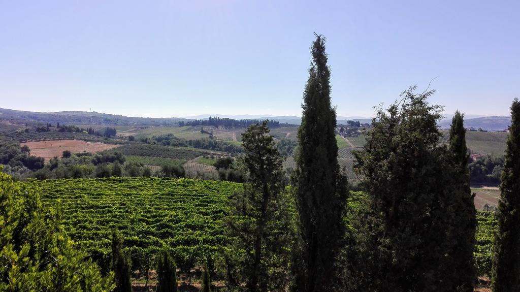 Agriturismo Luggiano Vinci Esterno foto