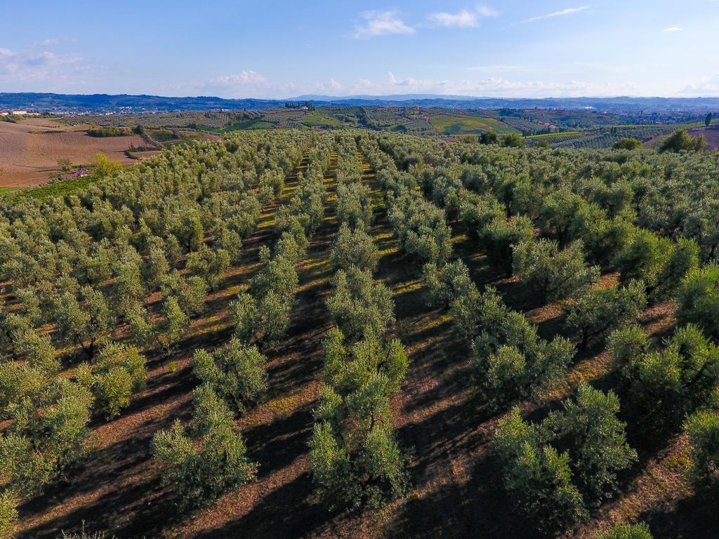 Agriturismo Luggiano Vinci Esterno foto